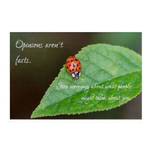 Beautiful ladybug with motivational quote acrylic print