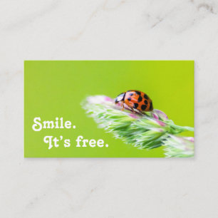 Beautiful ladybug with positive motivational quote business card