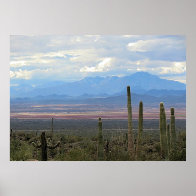 Beautiful landscape of Arizona Poster (Front)