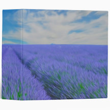 Beautiful landscape of lavender fields