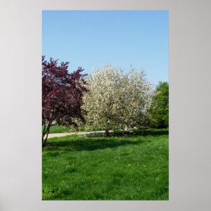Beautiful Landscape with Trees Poster