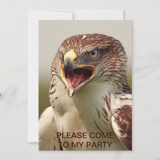 Beautiful Lanner Falcon Invitation (Front)