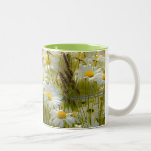 Beautiful Large Daisies Mug
