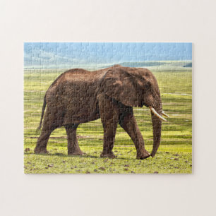 Beautiful Large Elephant Photo Jigsaw Puzzle