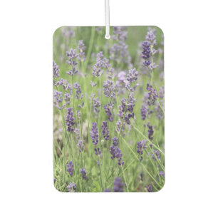 Beautiful Lavender Car Air Freshener