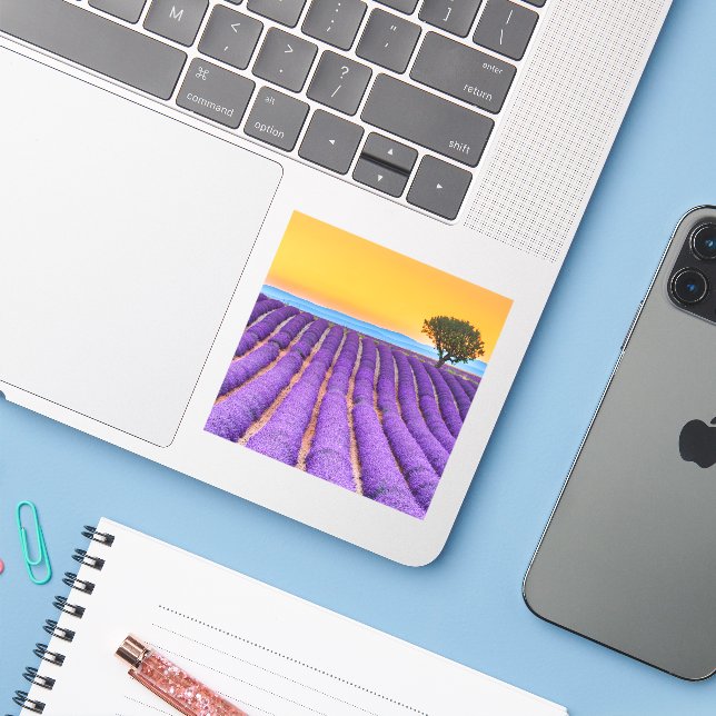 Beautiful lavender field in Provence (Laptop w/ iPhone)