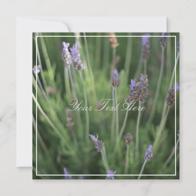 Beautiful Lavender Flowers Your Text Flat Card (Front)