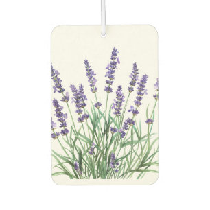 Beautiful Lavender Garden Flower Floral Car Air Freshener