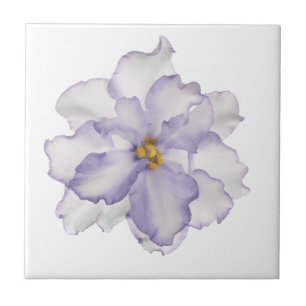 Beautiful Lavender Orchid on White Ceramic Tile