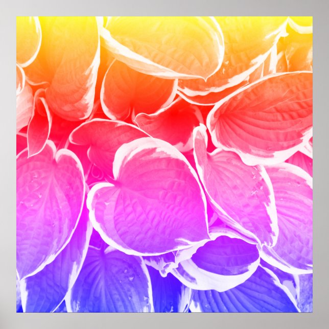 Beautiful leaves art poster (Front)