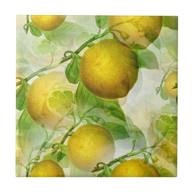 Beautiful Lemon Fruits Art Ceramic Tile (Front)