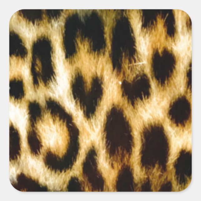 Beautiful Leopard skin Square Sticker (Front)