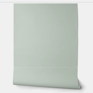 beautiful light green solid color /pattern wallpaper