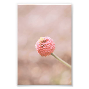 Beautiful Light Pink Flower Blossom Floral Photo Print