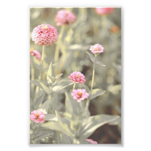 Beautiful Light Pink Flower Blossom Floral Photo Print