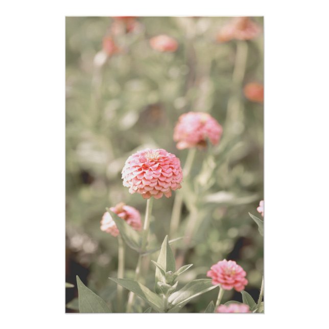 Beautiful Light Pink Flower Blossom Floral Poster (Front)
