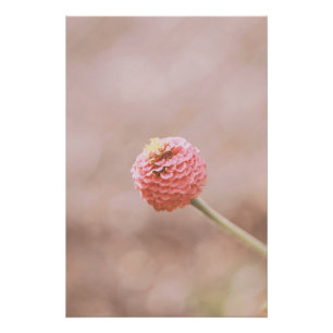 Beautiful Light Pink Flower Blossom Floral Poster
