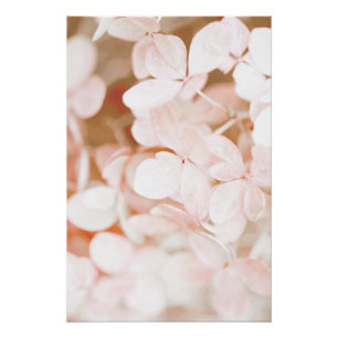 Beautiful Light Pink Flower Blossom Floral Poster
