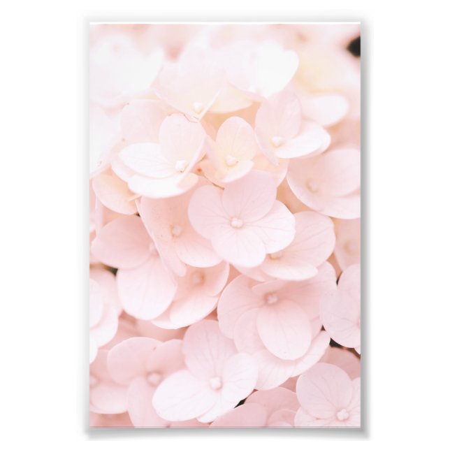Beautiful Light Pink Flower Petals Floral Poster (Front)