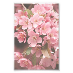 Beautiful Light Pink Flower Petals Floral Poster