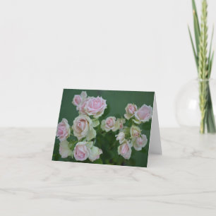 Beautiful light pink garden roses card