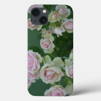 Beautiful light pink garden roses