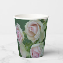 Beautiful light pink garden roses