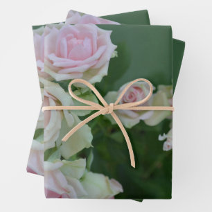 Beautiful light pink garden roses wrapping paper sheet