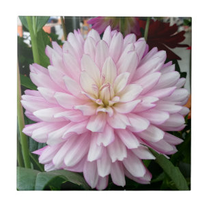 Beautiful Light Purple Dahlia Flower Ceramic Tile