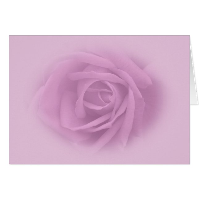Beautiful Lilac Rose (Front Horizontal)
