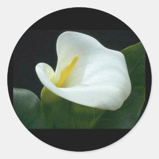 BEAUTIFUL LILY LETTER/GIFT ROUND STICKER