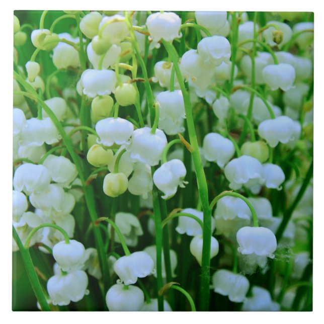 Beautiful Lily of the Valley Spring Flowers Ceramic Tile (Front)