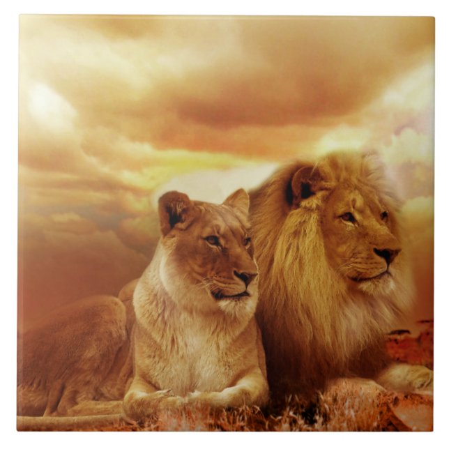 Beautiful lion couple tile (Front)