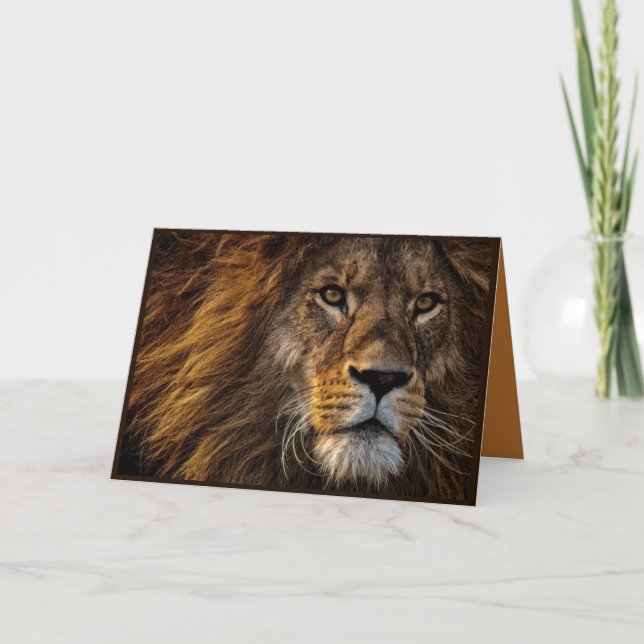 Beautiful Lion Folded Greeting Card (Front)