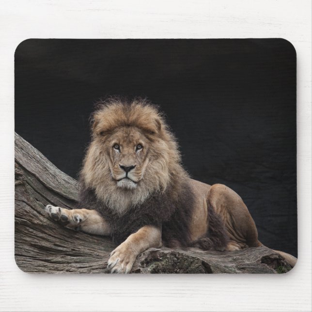 Beautiful Lion Mouse Pad (Front)