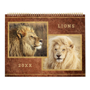 Beautiful Lions Photo Image Calendar