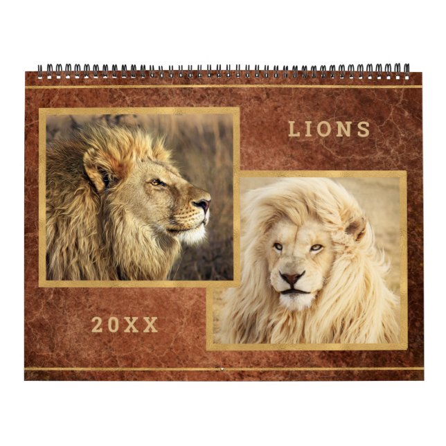 Beautiful Lions Photo Image Calendar (Cover)
