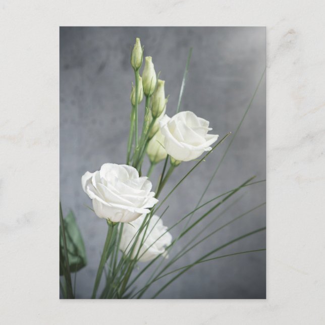 Beautiful Lisianthus White Flowers Postcard (Front)