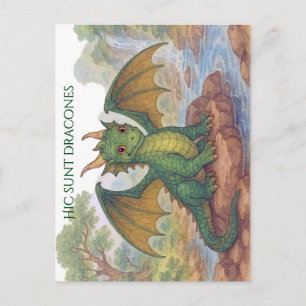 Beautiful little green dragon postcard