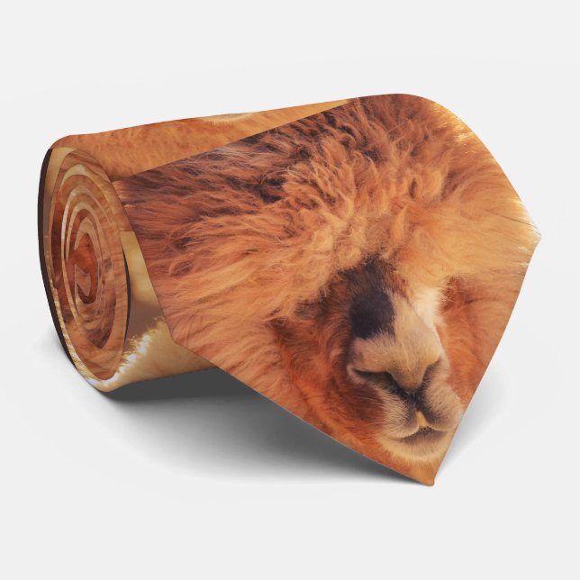 Beautiful Llama Alpaca Tie (Rolled)