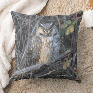 Beautiful Long-Eared Owl at Sunset Cushion