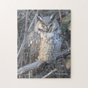 Beautiful Long-Eared Owl at Sunset Jigsaw Puzzle
