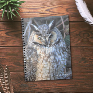 Beautiful Long-Eared Owl at Sunset Notebook