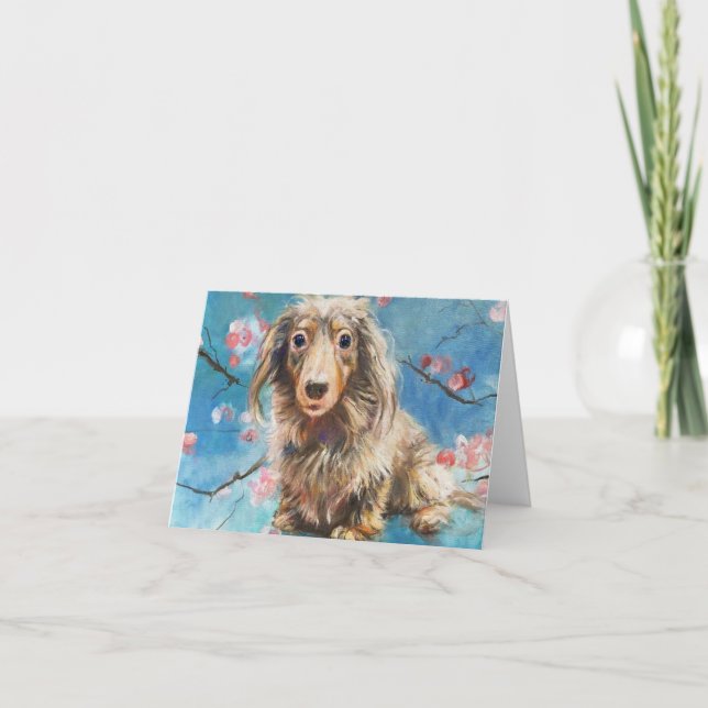Beautiful Long-Haired Dachshund in Cherry Blossoms Card (Front)