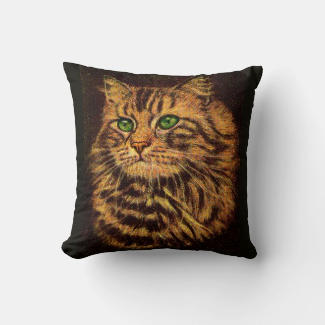 beautiful long-haired tabby cat print cushion (Front)