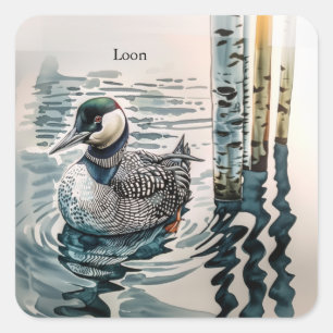 beautiful loon on water in watercolor square sticker
