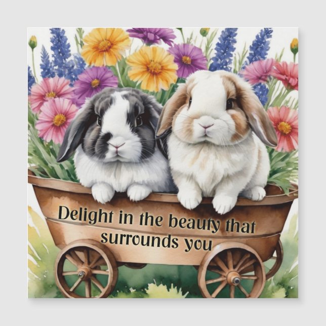 Beautiful Lop Bunny Rabbit Pretty Magnet Card (Front)