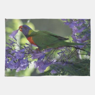 beautiful Lorikeet Tea Towel