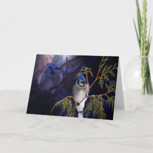 Beautiful 'Love' Blue Jay Wild Bird Card