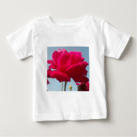 Beautiful Lovely Celestial Rose Red Against Blue 